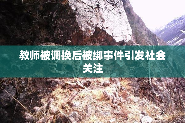 教师被调换后被绑事件引发社会关注