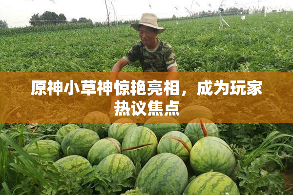 原神小草神惊艳亮相，成为玩家热议焦点