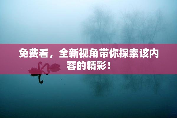 免费看，全新视角带你探索该内容的精彩！