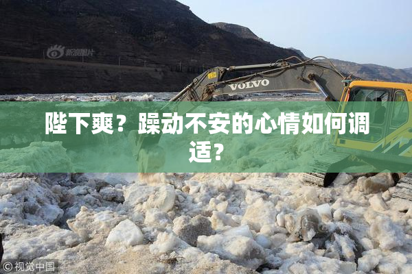 陛下爽？躁动不安的心情如何调适？
