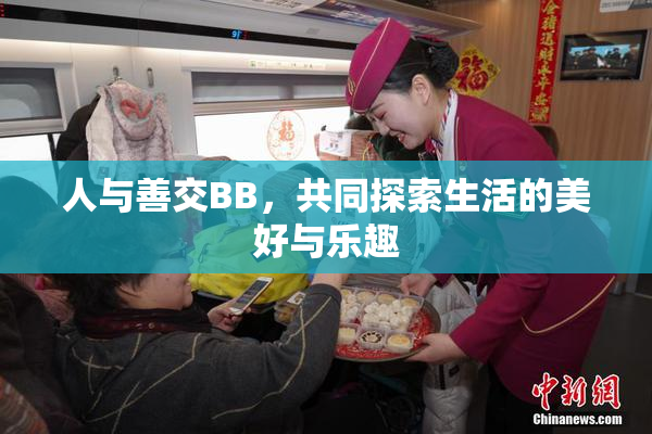 人与善交BB，共同探索生活的美好与乐趣