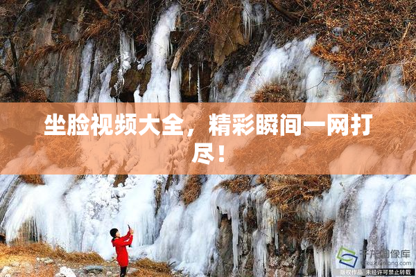 坐脸视频大全，精彩瞬间一网打尽！