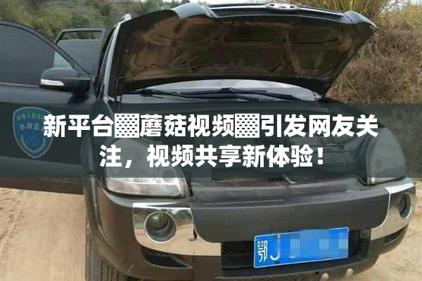 新平台▓蘑菇视频▓引发网友关注，视频共享新体验！