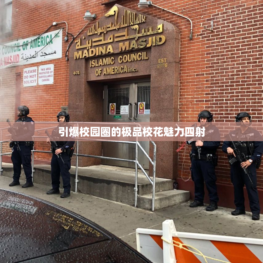 引爆校园圈的极品校花魅力四射