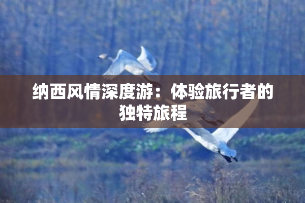 纳西风情深度游：体验旅行者的独特旅程