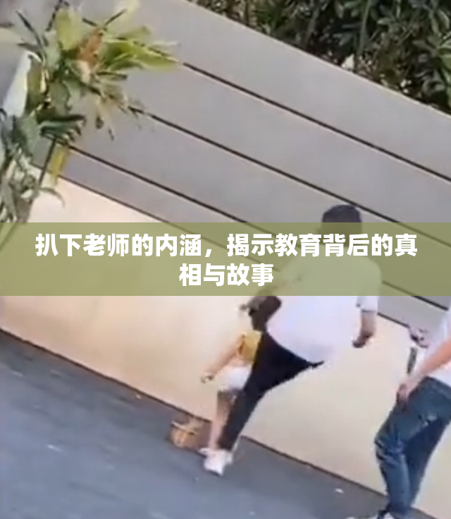 扒下老师的内涵，揭示教育背后的真相与故事