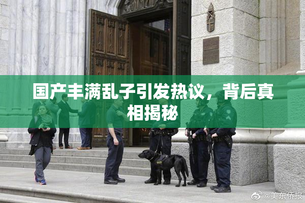 国产丰满乱子引发热议，背后真相揭秘