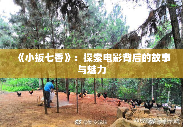 《小扳七香》：探索电影背后的故事与魅力