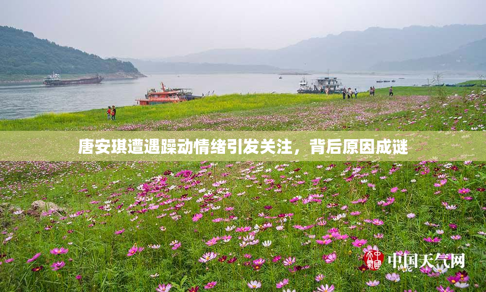 唐安琪遭遇躁动情绪引发关注，背后原因成谜