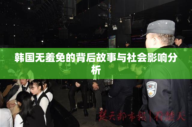 韩国无羞免的背后故事与社会影响分析