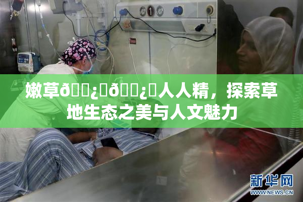 嫩草🌿‌🌿‌人人精，探索草地生态之美与人文魅力