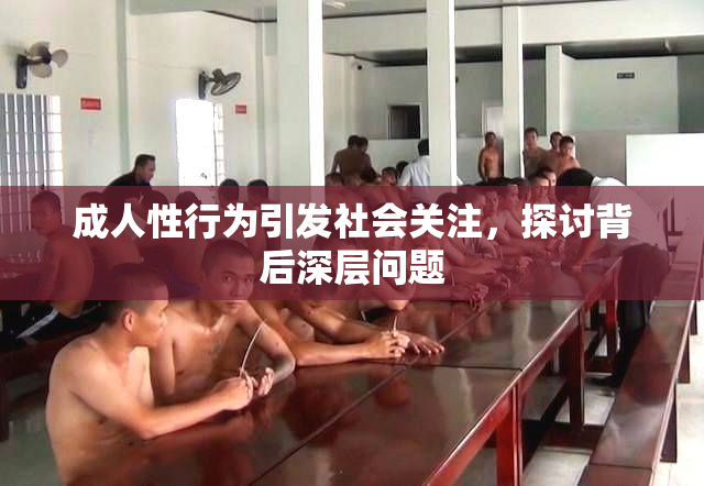 成人性行为引发社会关注，探讨背后深层问题