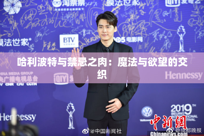 哈利波特与禁忌之肉：魔法与欲望的交织