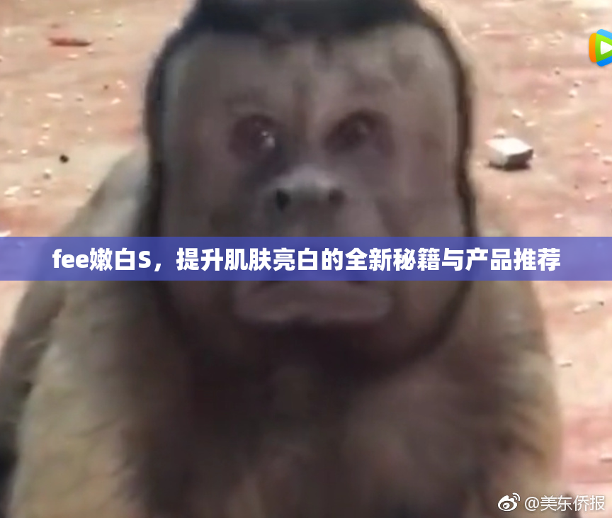 fee嫩白S，提升肌肤亮白的全新秘籍与产品推荐