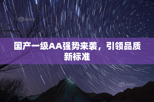 国产一级AA强势来袭，引领品质新标准