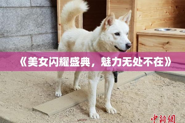 《美女闪耀盛典，魅力无处不在》