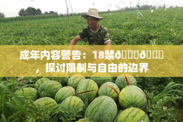 成年内容警告：18禁🍆🍑，探讨限制与自由的边界