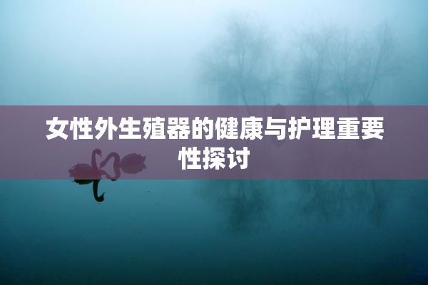 女性外生殖器的健康与护理重要性探讨