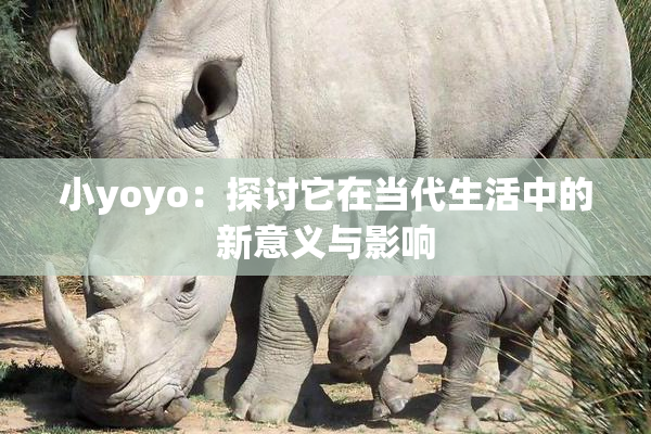 小yoyo：探讨它在当代生活中的新意义与影响