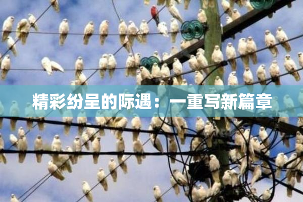 精彩纷呈的际遇：一重写新篇章