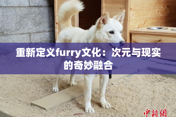 重新定义furry文化：次元与现实的奇妙融合
