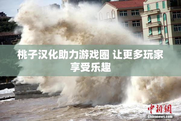 桃子汉化助力游戏圈 让更多玩家享受乐趣