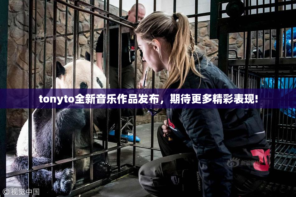 tonyto全新音乐作品发布，期待更多精彩表现!