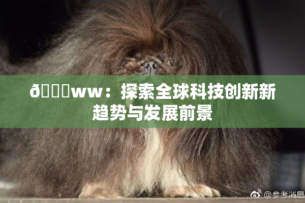 🔞ww：探索全球科技创新新趋势与发展前景