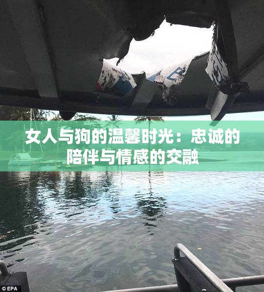 女人与狗的温馨时光：忠诚的陪伴与情感的交融