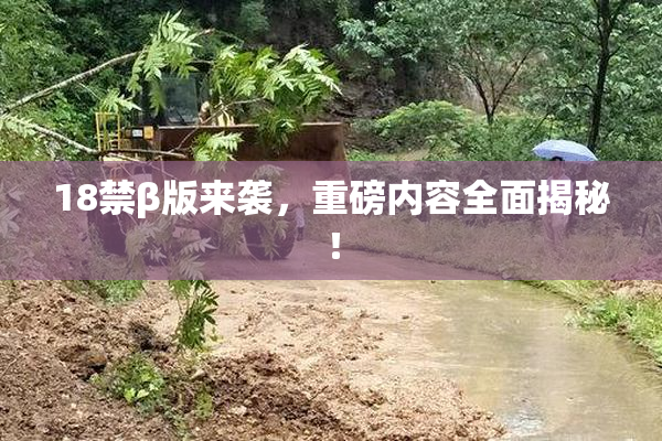 18禁β版来袭，重磅内容全面揭秘！