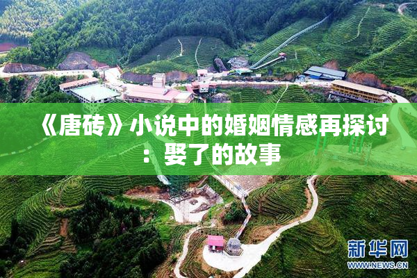 《唐砖》小说中的婚姻情感再探讨：娶了的故事