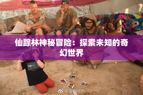 仙踪林神秘冒险：探索未知的奇幻世界