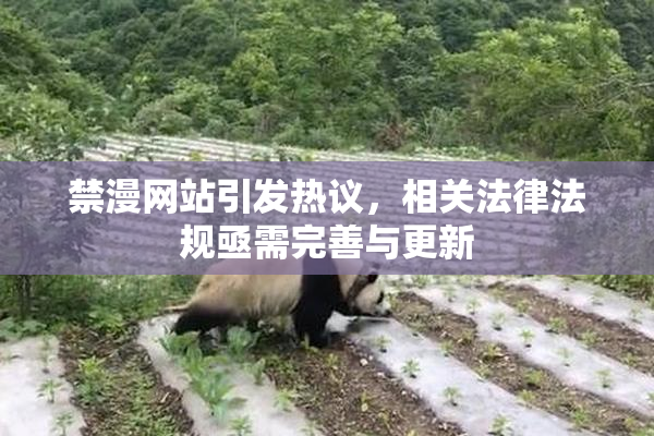 禁漫网站引发热议，相关法律法规亟需完善与更新