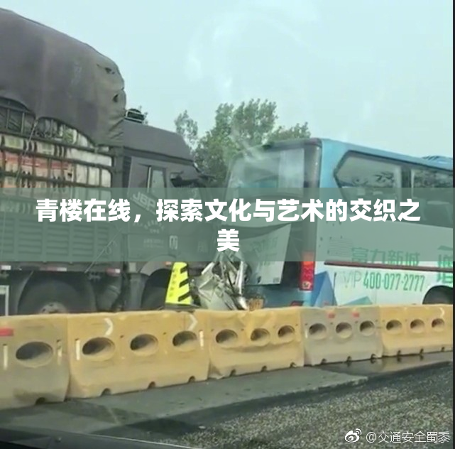 青楼在线，探索文化与艺术的交织之美