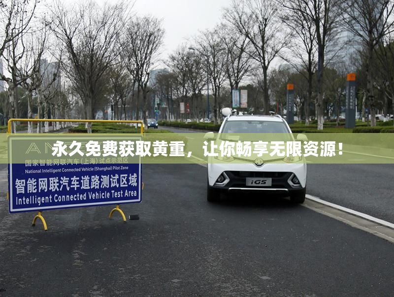 永久免费获取黄重，让你畅享无限资源！