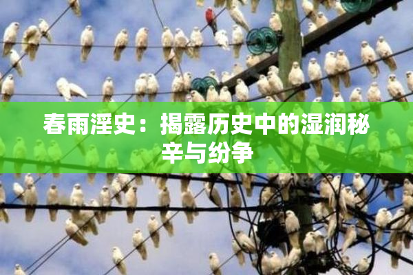 春雨淫史：揭露历史中的湿润秘辛与纷争