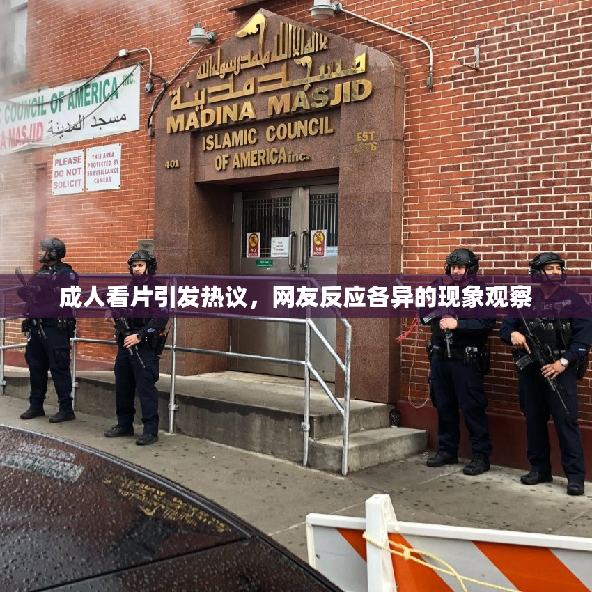 成人看片引发热议，网友反应各异的现象观察