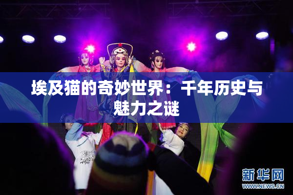 埃及猫的奇妙世界：千年历史与魅力之谜
