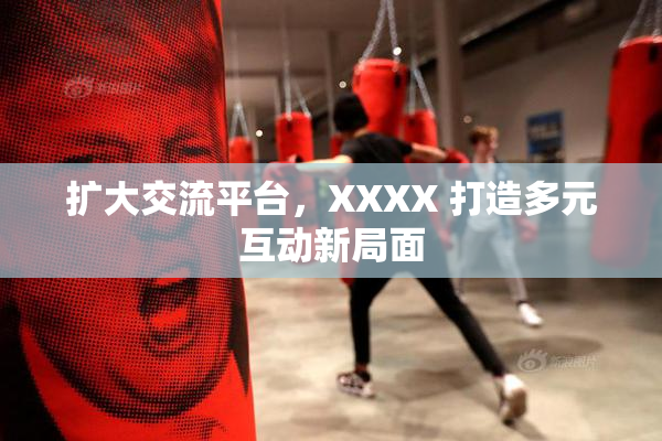 扩大交流平台，XXXX 打造多元互动新局面