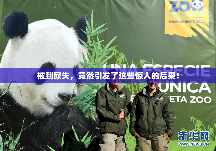 被到尿失，竟然引发了这些惊人的后果！
