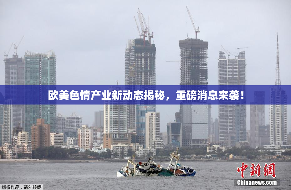 欧美色情产业新动态揭秘，重磅消息来袭！