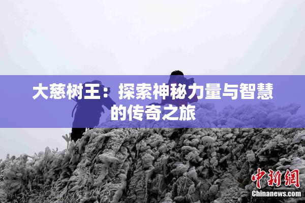 大慈树王：探索神秘力量与智慧的传奇之旅