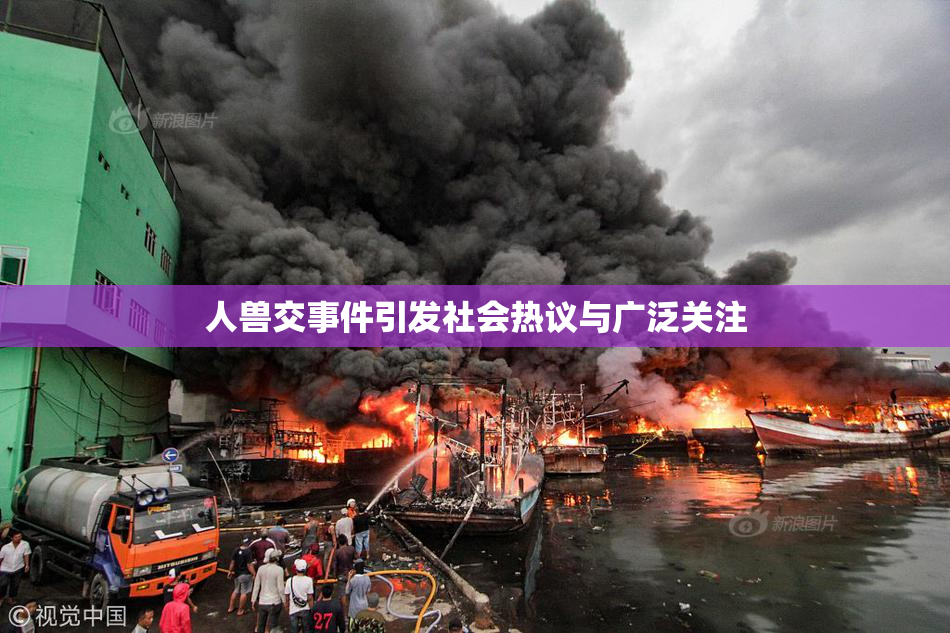 人兽交事件引发社会热议与广泛关注
