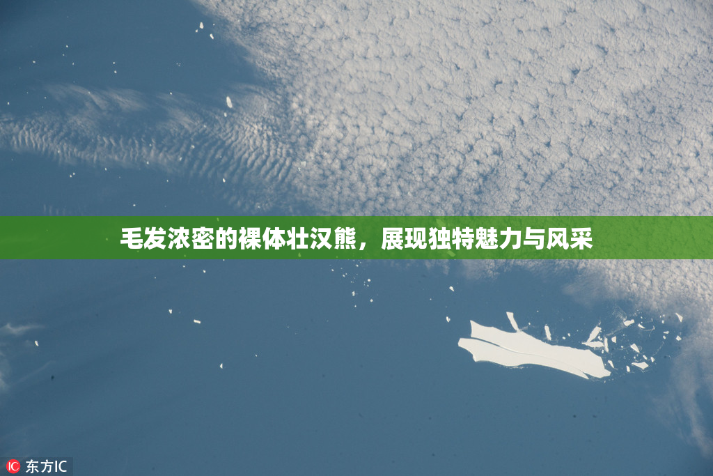 毛发浓密的裸体壮汉熊，展现独特魅力与风采
