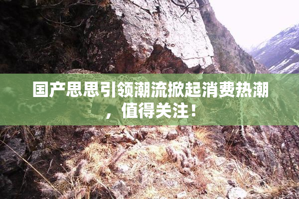 国产思思引领潮流掀起消费热潮，值得关注！