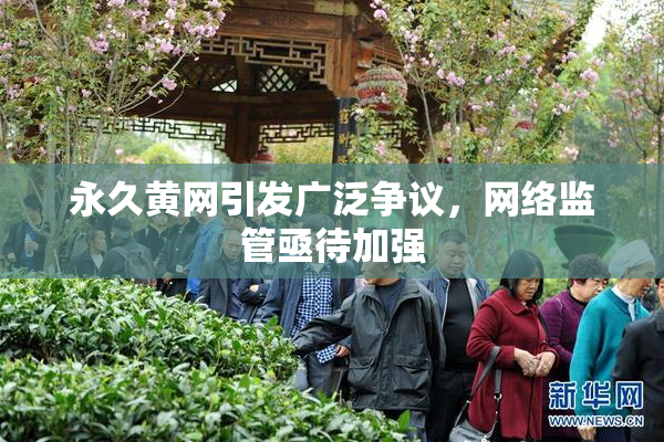 永久黄网引发广泛争议，网络监管亟待加强