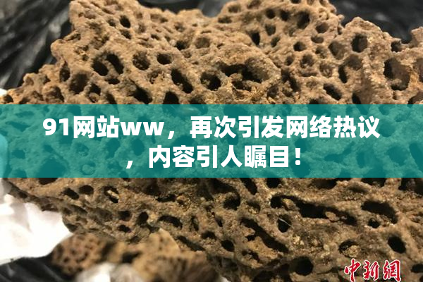 91网站ww，再次引发网络热议，内容引人瞩目！