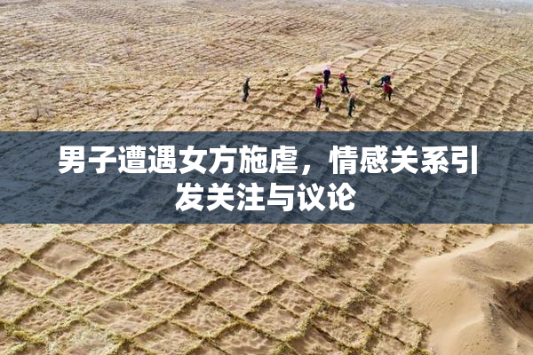 男子遭遇女方施虐，情感关系引发关注与议论