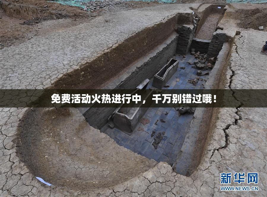 免费活动火热进行中，千万别错过哦！