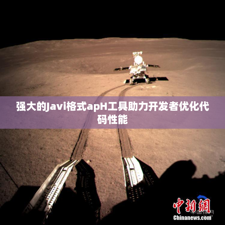 强大的Javi格式apH工具助力开发者优化代码性能